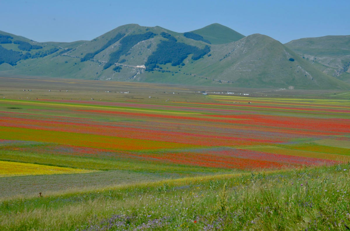 5 Many years Following Catastrophe, Norcia, Italy, Is A Incredible Journey Trip spot Now